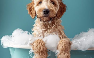 What are the Benefits of Having Your Hot Water Heater Serviced Regularly?