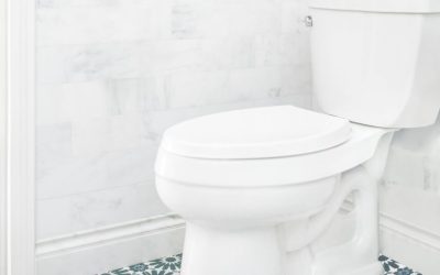 Why is the Water Level in My Toilet Low?